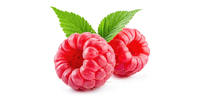 Himbeeren (frisch)