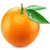 Orange, Apfelsine (frisch)