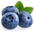 Heidelbeeren, Blaubeeren (frisch)