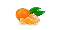 Mandarine (frisch)