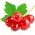 Currants (red, fresh)