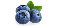 Heidelbeeren, Blaubeeren (gefroren)