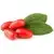 Goji berries (fresh)