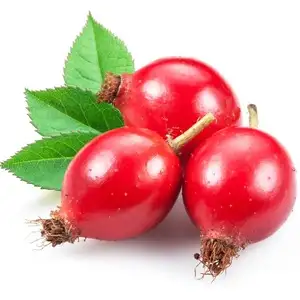 Rosa canina (fresca)