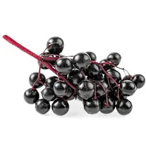 Bacche di sambuco (fresche)