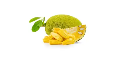Jackfruit (świeży)