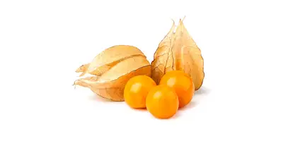 Physalis, grosellas del Cabo