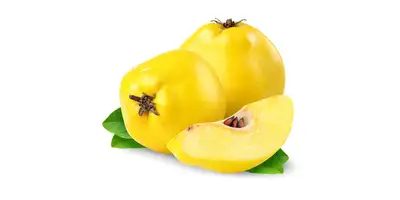 Mela cotogna (fresca)