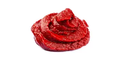 Concentré de tomates (double concentration)