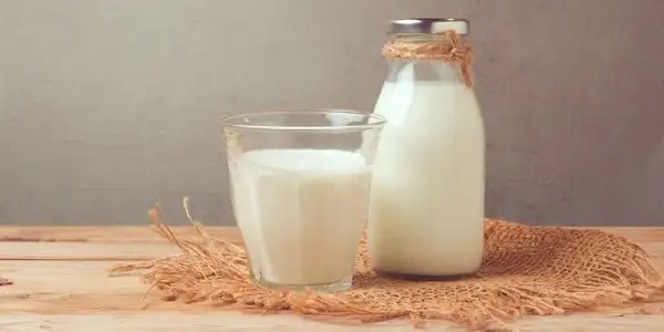 Leche y productos lácteos
