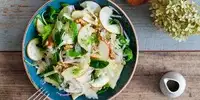 Fenchel Salat mit Apfel